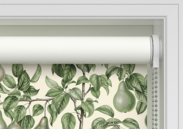 Pears, Coriscon - Twist&Fit Roller Blind - Image 10
